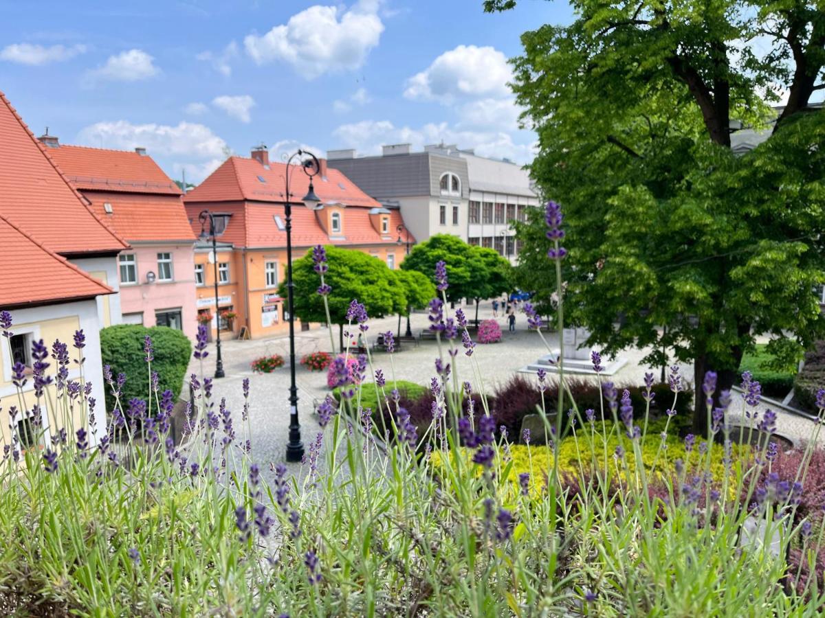 Apartament Lawendowy Wałbrzych Buitenkant foto