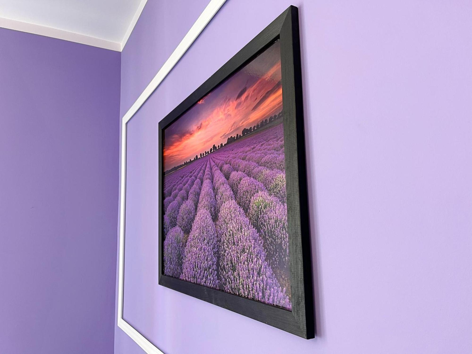 Apartament Lawendowy Wałbrzych Buitenkant foto